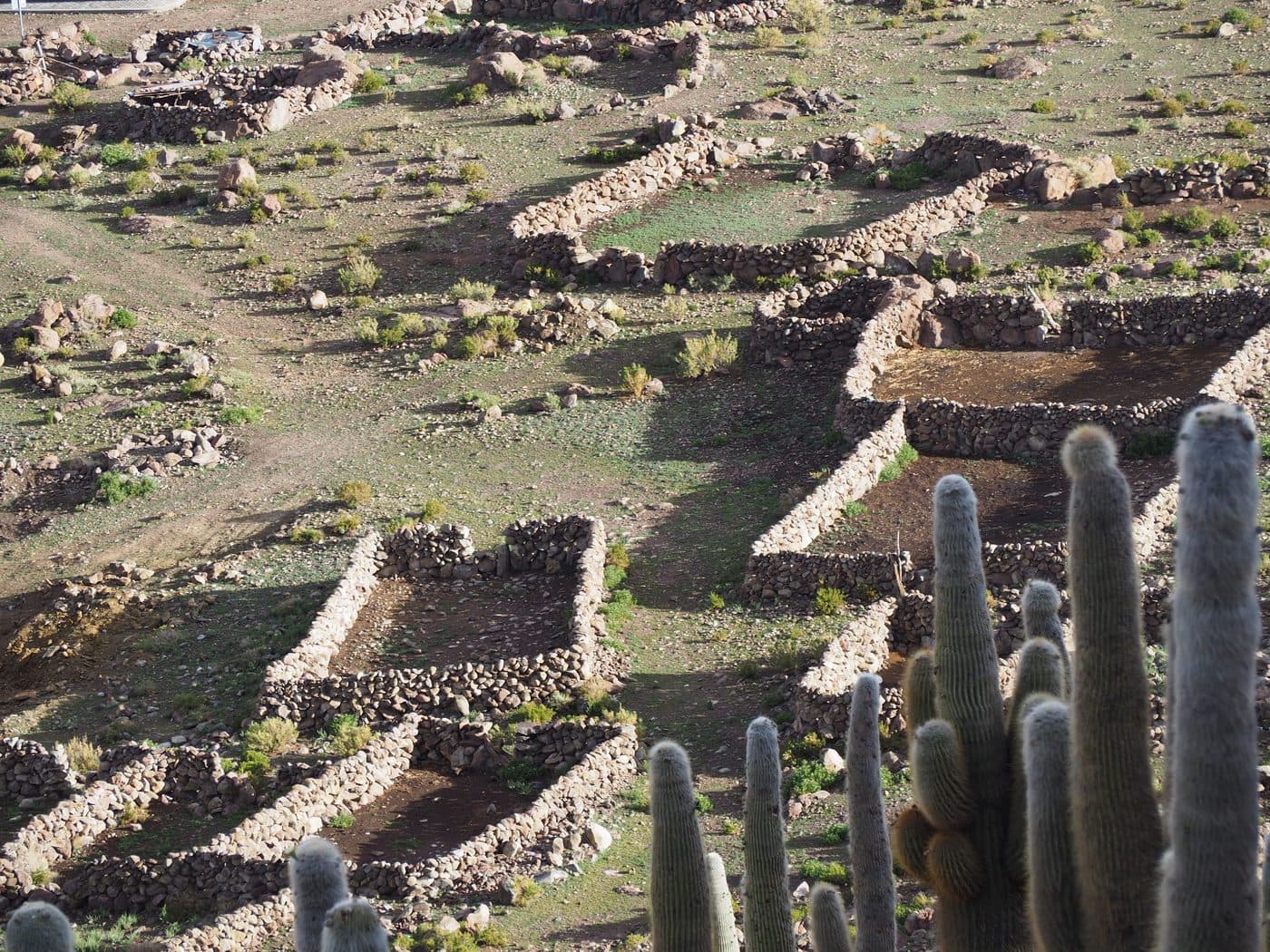 Canchones de piedra para ganado en Agencha