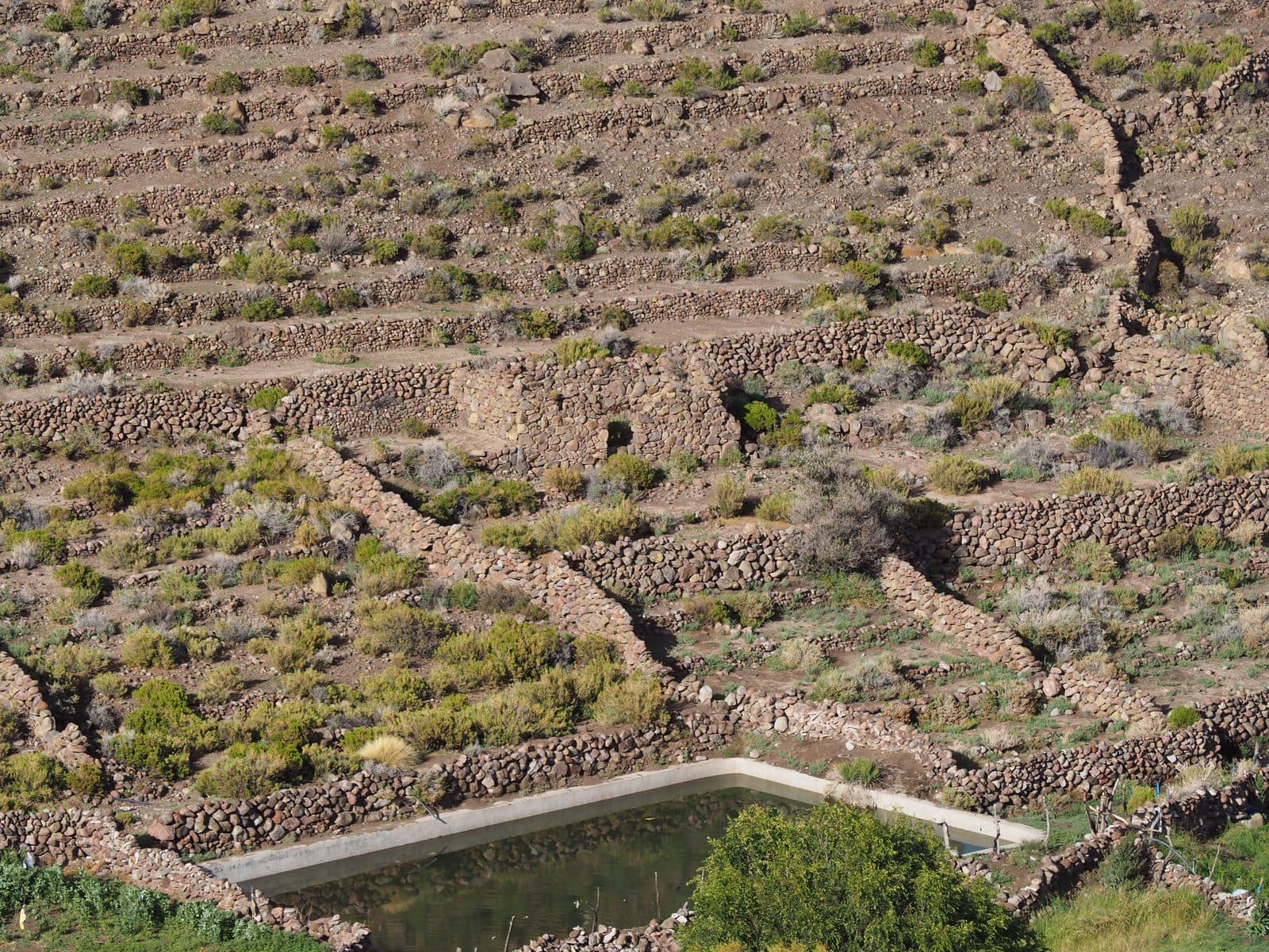 Muros de piedra construidos por Pedro Reyes en los cerros de Agencha